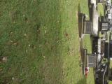 image of grave number 538787
